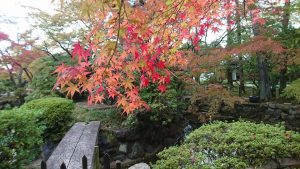 真如堂の紅葉（2017年11月5日）