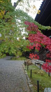 真如堂の紅葉（2017年11月5日）